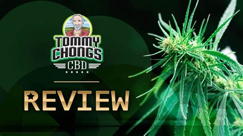 Tommy Chong CBD Review [2024]: Is It Legit? HONEST Customer Feedback, Pros & Cons